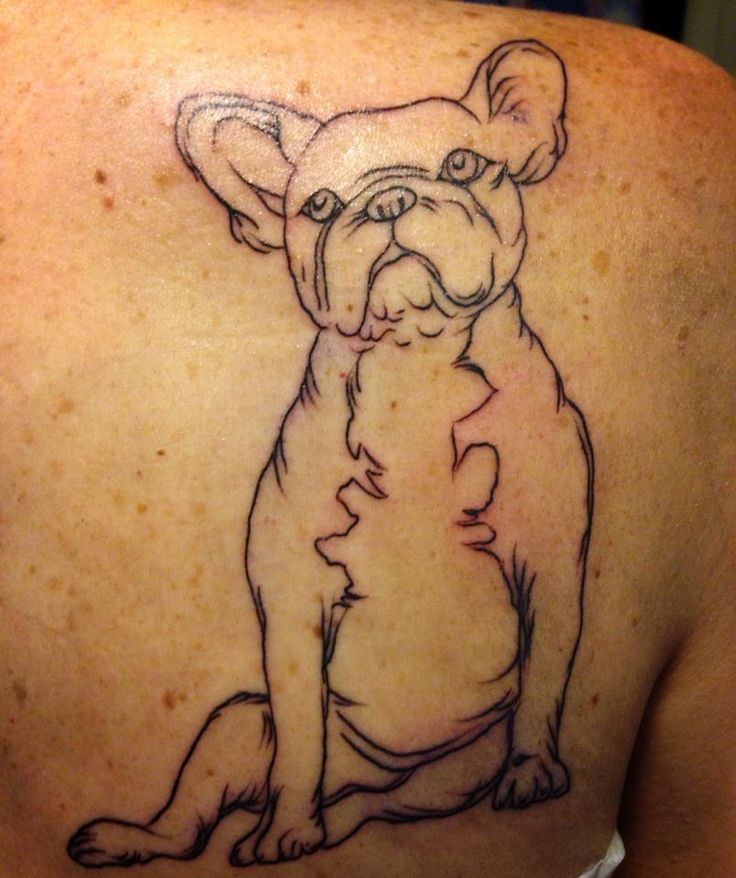 French Bulldog back tattoo