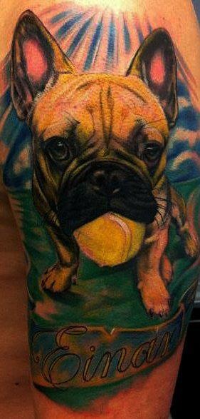 French Bulldog funny tattoo