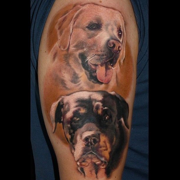 Mastiff Tattoo arm dogs
