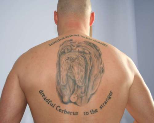 Mastiff Tattoo back image