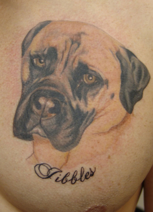 Mastiff Tattoo chest design