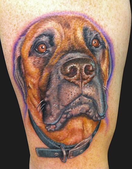 Mastiff Tattoo color face