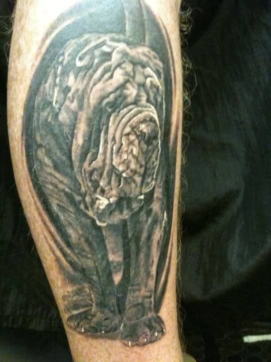 Mastiff Tattoo leg pics