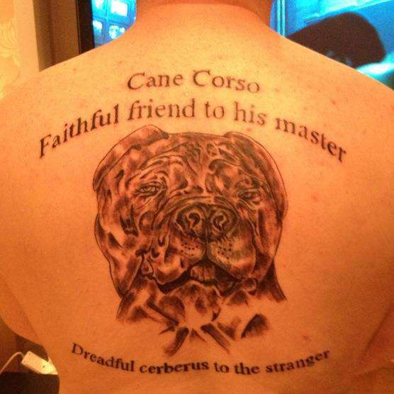 Mastiff Tattoo photo back