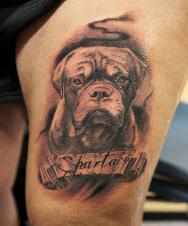 Mastiff Tattoo sad face