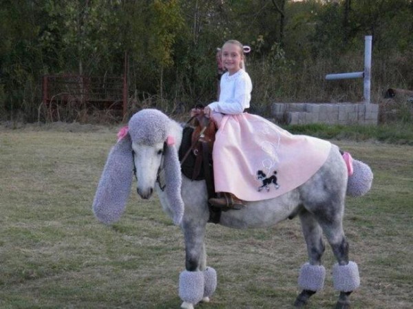 22 Costumes That Prove Horses Always Win At Halloween
