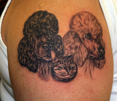 Poodle-dogs-tattoo