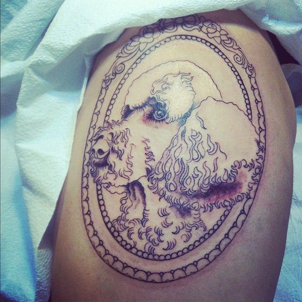 Poodle-tattoo-design-picture
