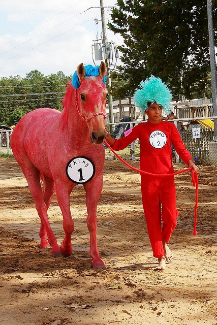Thing One and Thing Two horse costume