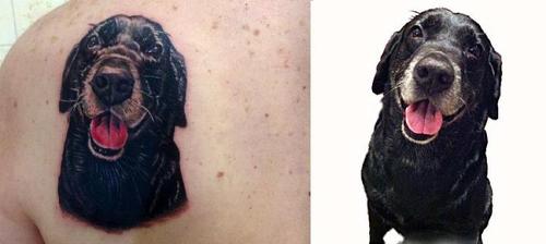amazing labrador tattoo pics