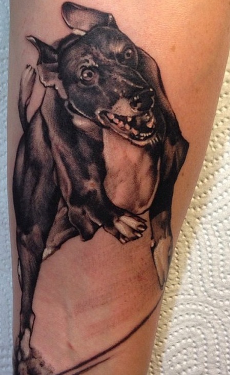cool whippet tattoo design