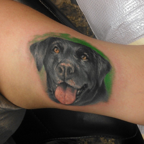 cute labrador face tattoo
