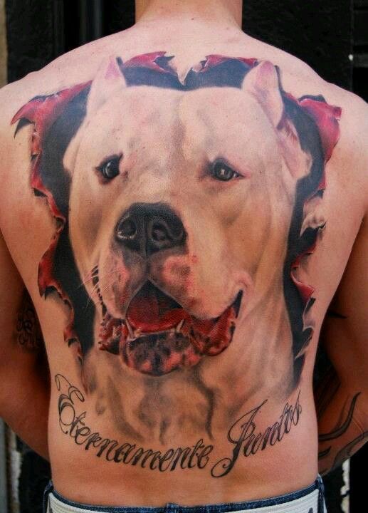 cute-pitbull-tattoo-on-back photo