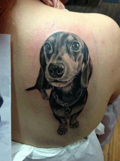 dachshund tattoo design