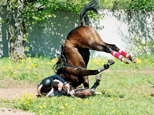 falling horse rider pics