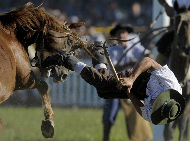 19 Bad Moments Only Horse People Will Understand 1
