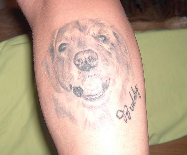golden dog retriever tattoo