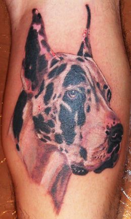 great dane face tattoo photo