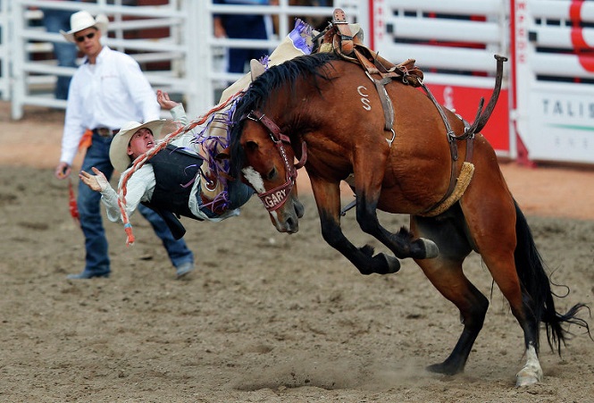 horse riding fall down extreme pics