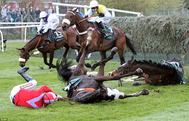 horse riding fall down extreme picture