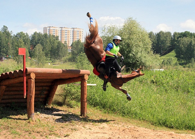 horse riding photo falling jump
