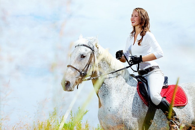 horse riding woman beauty