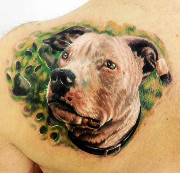 pitbull-back-shoulder-tattoo photo
