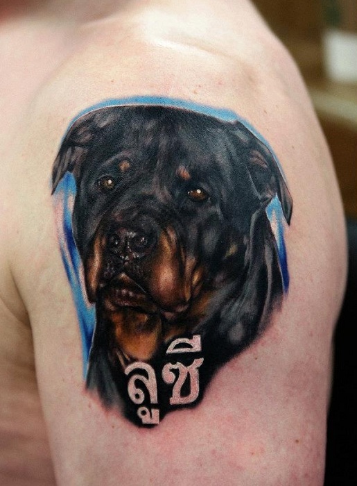 rottweiler tattoo shoulder design