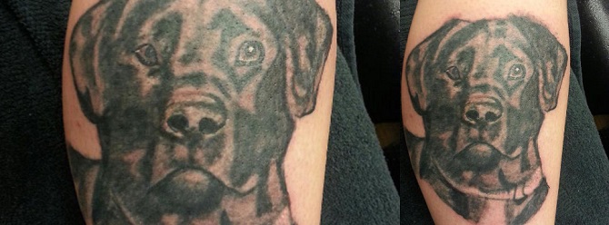 tattoo labrador face pics design