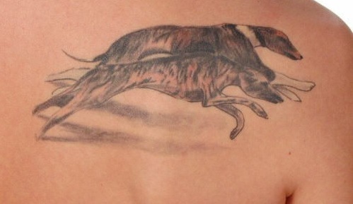 whippet 3d tattoo