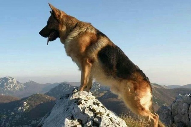 GSD in mountains