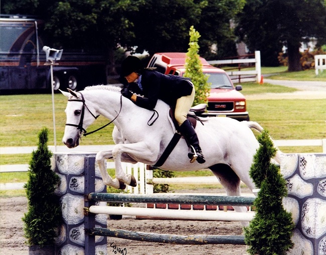 The Anglo-Arabian or Anglo-Arab white jumping