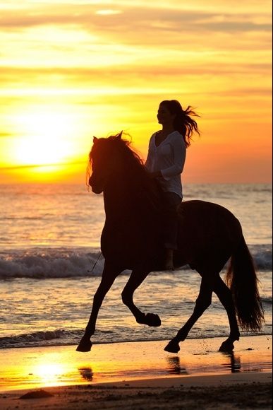 bareback ride horse girl