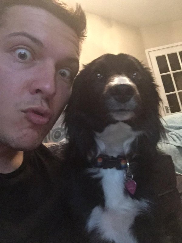 border collie selfie
