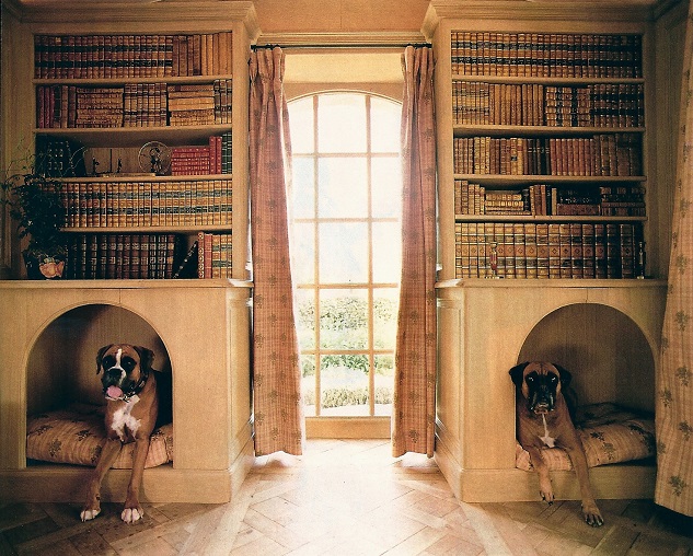 boxer dogs on their places