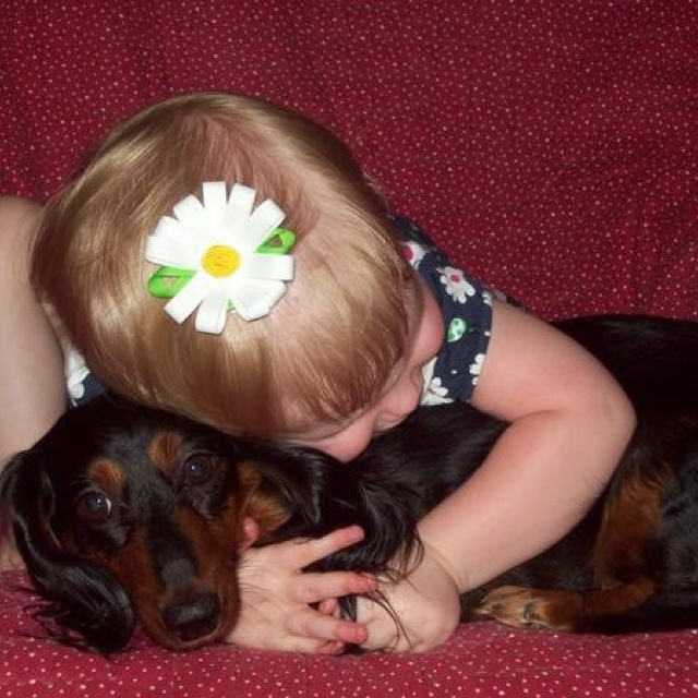 17 Most Difficult Emotions Dachshunds Go Through That Their Owners Must Never Forget 9 cute girl hug dachshund pics
