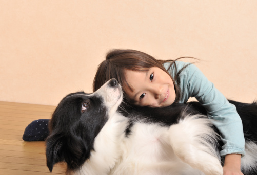 The 16 Best Things About Having a Border Collie 1