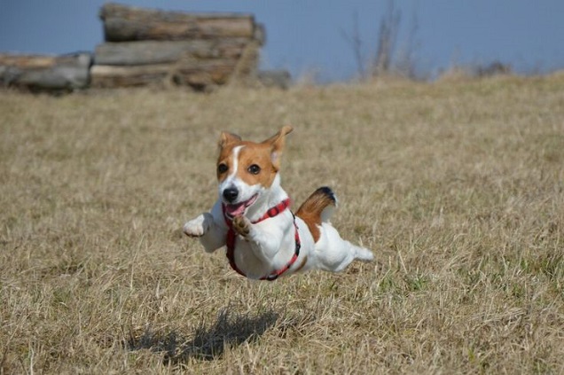 flying JRT at warp speed