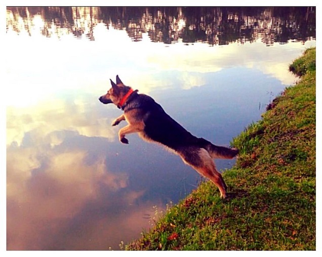 jumping into water