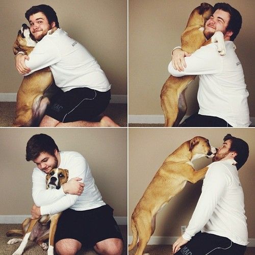 man love boxer dog pics friends