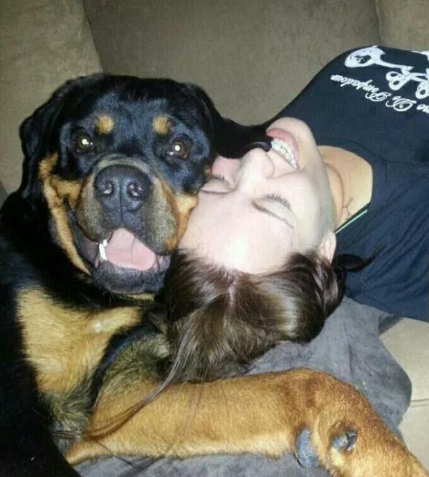 rottweiler funny dog
