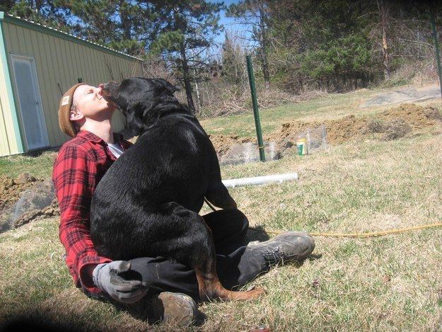 rottweiler kiss