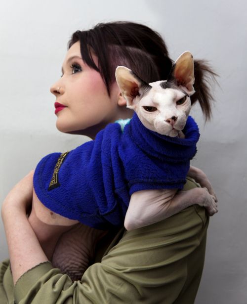 sphynx cat hugging woman