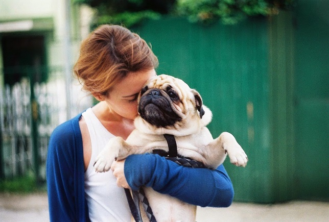 girl pug friends