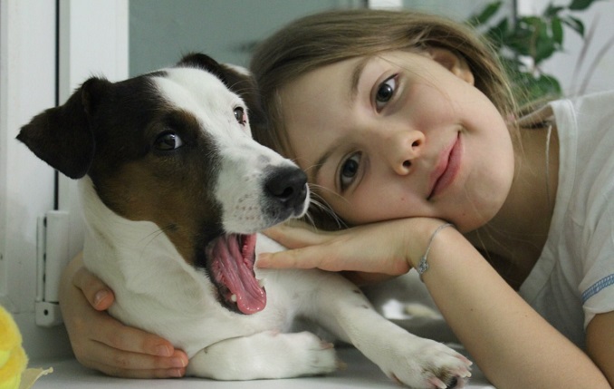 jack russell friend girl