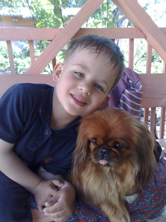 pekingese kid boy photo friends