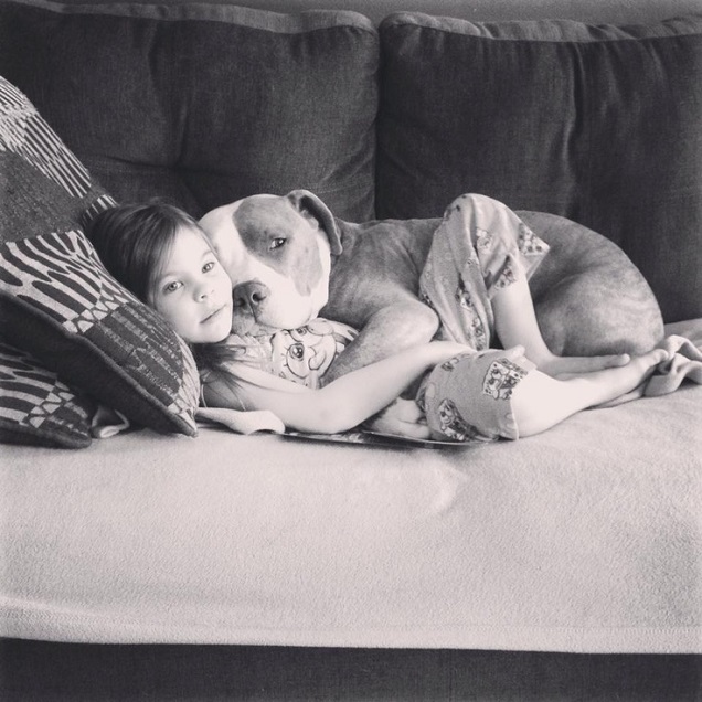 12 Realities That New Pit Bull Owners Must Accept 8 pit bull cute girl friends