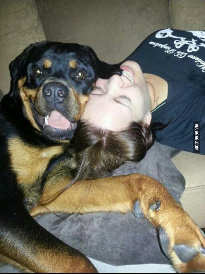 19 Ways Having A Rottweiler Ruins You For Life 1 rottweiler friend