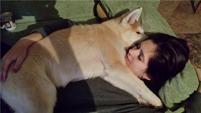 sleeping akita inu woman