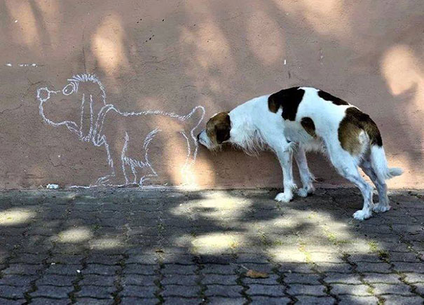 We reckon this dog’s name is ‘Chalky’….